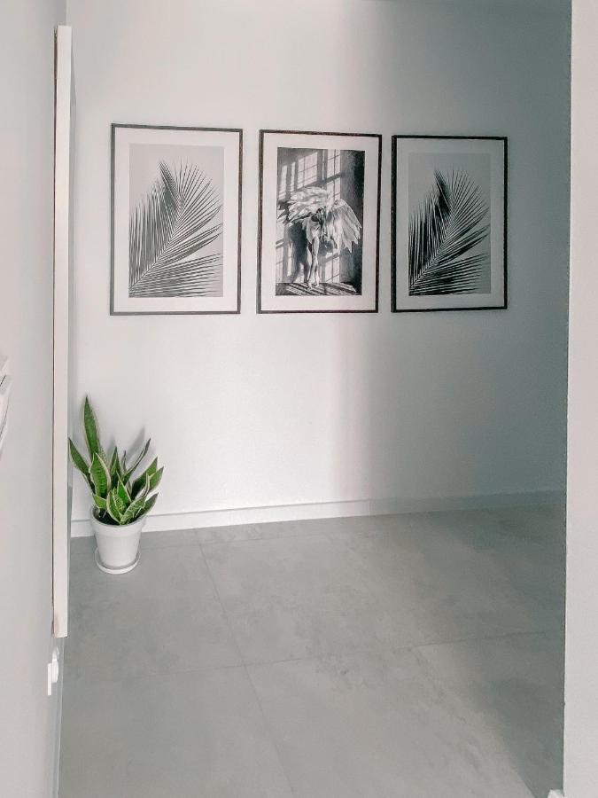 קולובז'ג Fredry 2 Apartament Liliowy מראה חיצוני תמונה